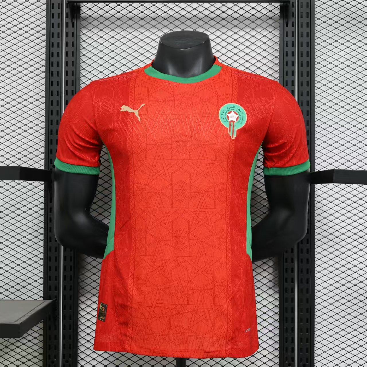 PUMA Football jerseys S-2XL